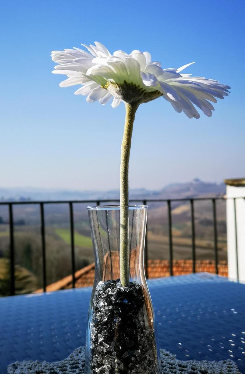 Aparthotel La Maggiorina Agliano Terme Exterior foto