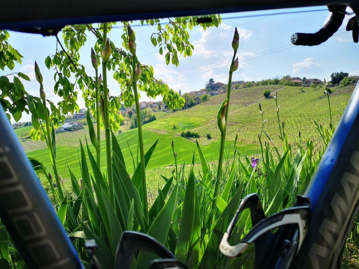 Aparthotel La Maggiorina Agliano Terme Exterior foto